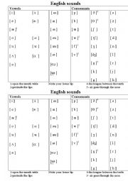 English Worksheet: Guide how to read the transcription editable