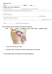 REPRODUCTIVE SYSTEM TEST