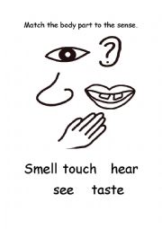 Match the Body Part to the Sense