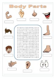 English Worksheet: Parts of Body Wordsearch