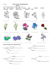 English Worksheet: Spring and Winter meet