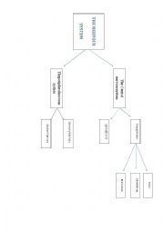 English Worksheet: Nervous System 