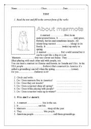 English Worksheet: Present simple. About marmots.
