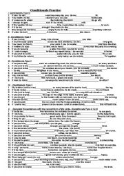 English Worksheet: Conditionals Practice