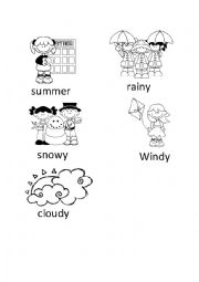 The weather