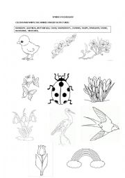 English Worksheet: spring vocabulary