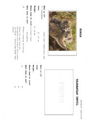 English Worksheet: Australias funniest animals