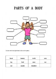 English Worksheet: Parts of a body