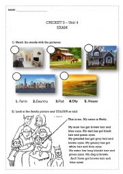 English Worksheet: CRICKET EXAM - Physical description, adjectives, places to live, family ...