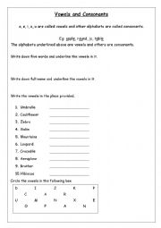 English Worksheet: vowels and consonants