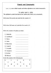 vowels and consonants