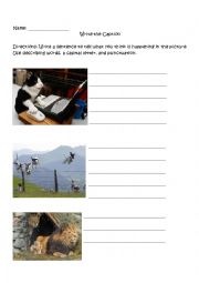 English Worksheet: Write the caption - silly writing activity for multiple grade levels