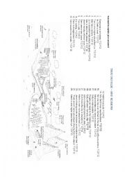 English Worksheet: Travel True or False