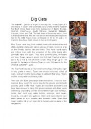 English Worksheet: big cats