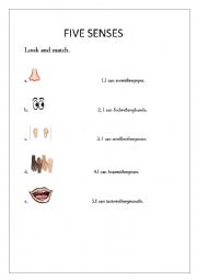 English Worksheet: five senses