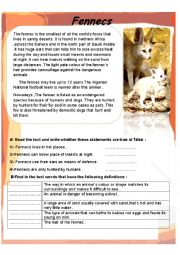 English Worksheet: Endangered Animals (Fennecs) 