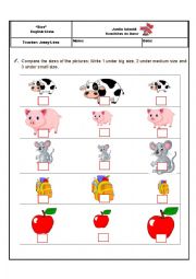 English Worksheet: Size