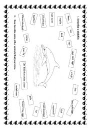 English Worksheet: Describe a dolphin.