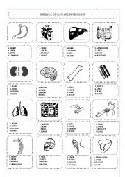 English Worksheet: Internal Organs