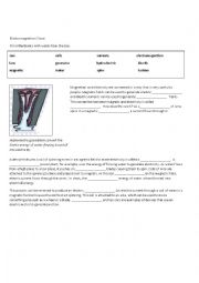 English Worksheet: Electromagnetism