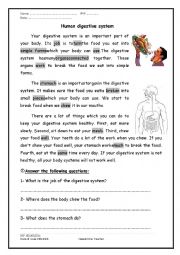 English Worksheet: A reading comprehension passage about the digestive system