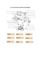 English Worksheet: cut and paste body parts