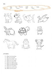 English Worksheet: pets 