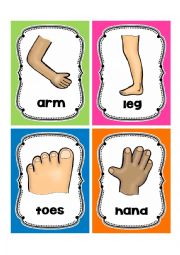 BODY PARTS FLASHCARDS3