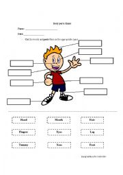 English Worksheet: Body parts exam