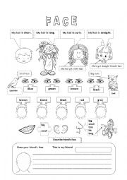 English Worksheet: FACE