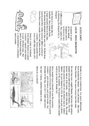 English Worksheet: The Loch Ness Monster