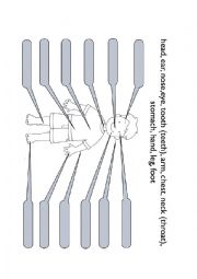 English Worksheet: Body Parts