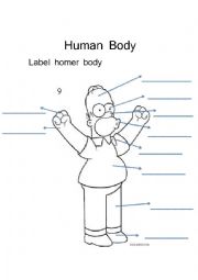 English Worksheet: Human Body to label