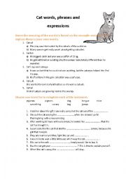 English Worksheet: Cat expressions