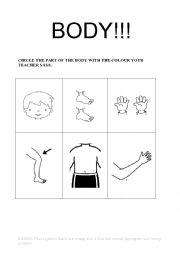 English Worksheet: Body