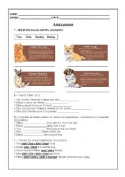 English Worksheet: A dogs purpose movie