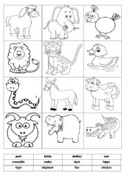 English Worksheet: Animals -Match&Cut&Paste&Color- Activity