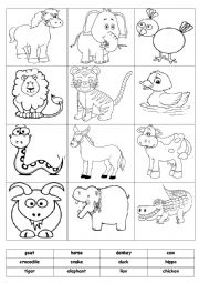 Animals -Match&Cut&Paste&Color- Activity