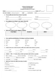 English Worksheet: noun and non count noun