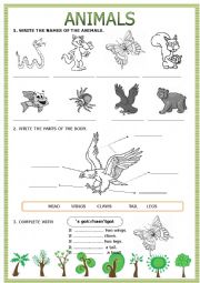 English Worksheet: Animals