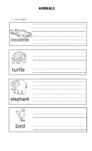 English Worksheet: Wild Animals