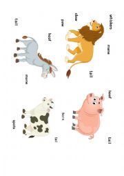 English Worksheet: Animal body parts