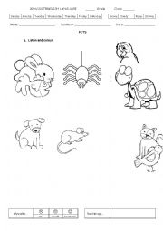 English Worksheet: Pets