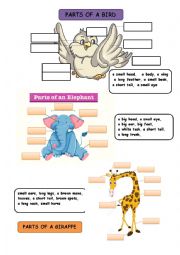 English Worksheet: animal body parts