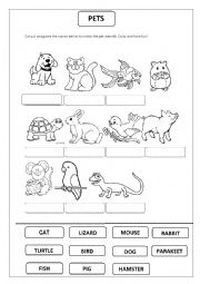 English Worksheet: Pet animals