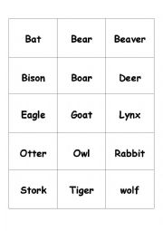 English Worksheet: Animal vocabulary