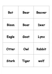 Animal vocabulary