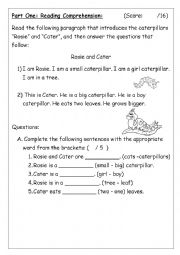 English Worksheet: reading comprehension