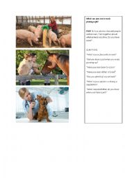 English Worksheet: PET visual ANIMALS and PETS