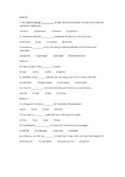 English Worksheet: Traveller 4 Vocabulary Revision